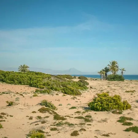 Pet Friendly In With Kitchen Holiday home Santa Pola